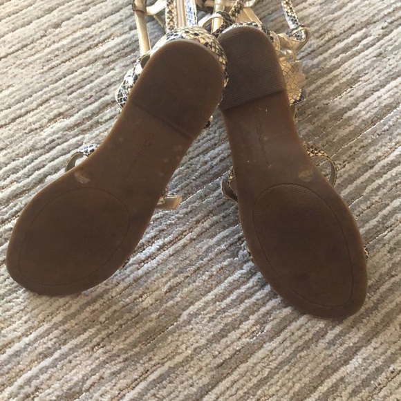 BCBG snakeskin high gladiator sandals - Picture 4 of 4